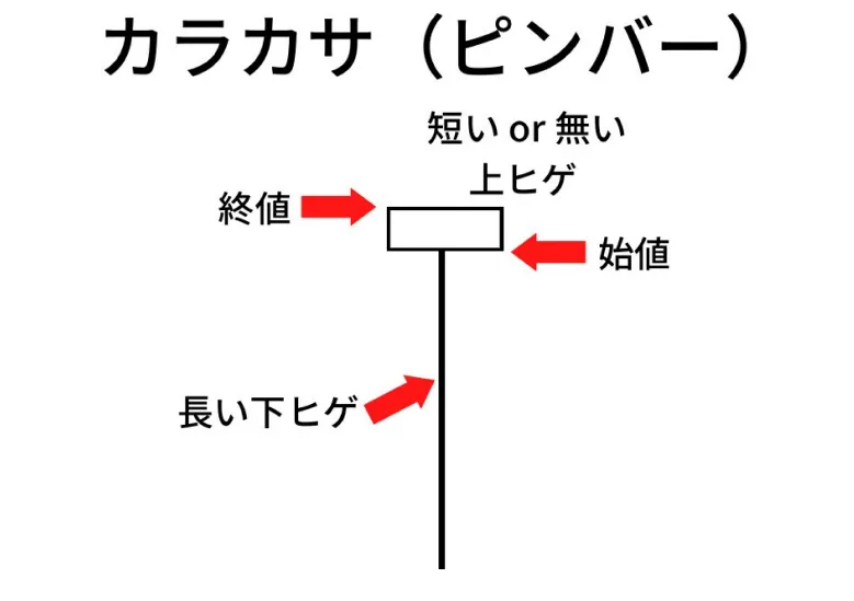 カラカサ（ピンバー） 図説